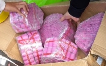 Công an quận Kiến An: Vận động nhân dân tự giác giao nộp 28 viên đạn, 1 súng, 35 vũ khí thô sơ
